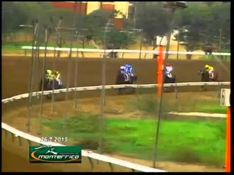 LOLO FOREVER – CLÁSICO BATALLA DE JUNÍN 2015 – 1500 m