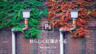 緑の葉を秋らしく紅葉させる【CS6】