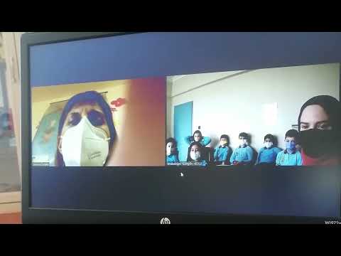 Our Webinar About The Effects of Climate Change on Seasons