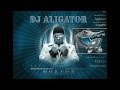 09.Dj Aligator - Lollipop 