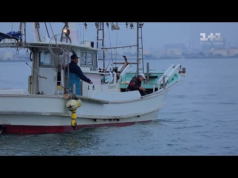 Япония - смертоносная рыба фугу и город роботов. Мир наизнанку - 2 серия, 9 сезон