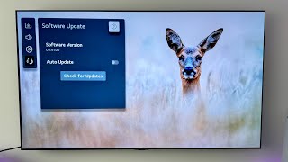 LG OLED update 03.41.00, should YOU agree to update?