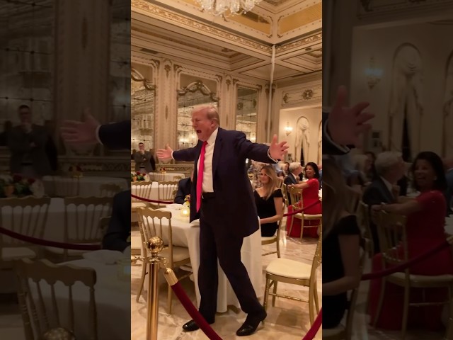 Vídeo relacionado con Original Gangster Trump Funny President Donald Trump Power Camiseta