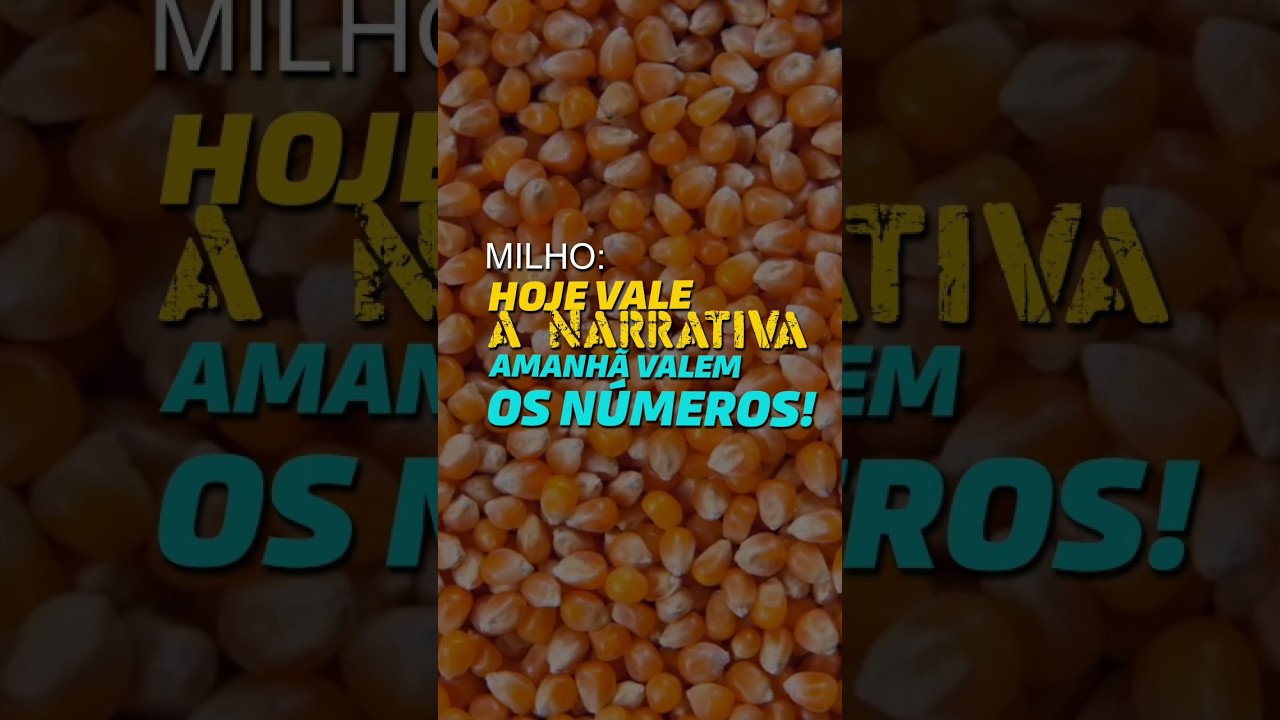 MILHO: HOJE VALE A NARRATIVA. AMANHÃ VALEM OS NÚMEROS!