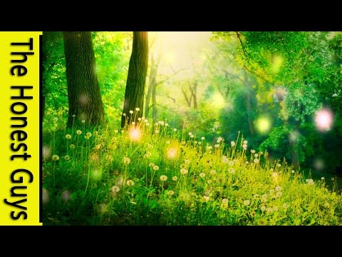 GUIDED MEDITATION - A Fairy Blessing & Healing Meditation (Remastered)