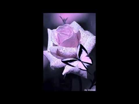 Milufka  - Všechno je jenom jednou - Nelituj