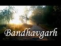 Bandhavgarh National Park Bandhavgarh Tiger Reserve Umaria MP Tourism
