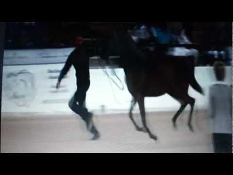 Barmyre Sadeek at the 2012 egyptian event