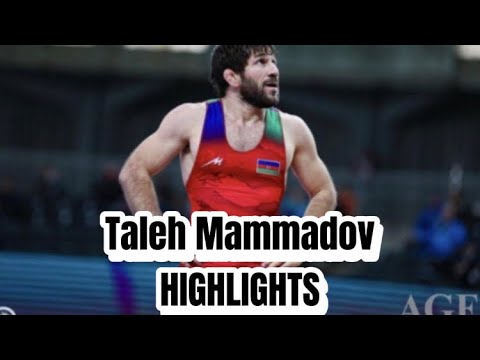 Taleh Mammadov (AZE) HIGHLIGHTS