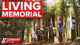 The most beautiful 'living' memorial you've never seen | A Current Affair
