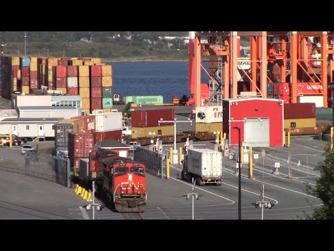 CN Local Train 519 Pulling Containers from PSA Halifax Terminal - Halifax, NS
