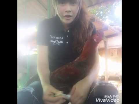 วิธีการที่จะกระตุ้นจุดผู้หญิง ยูนิเวอร์แซ Exciter ซื้อ