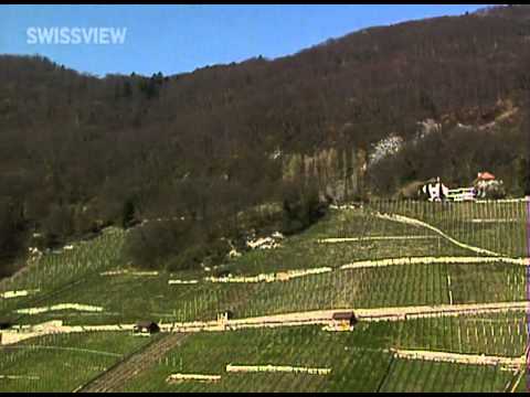 SWISSVIEW - BE, Ligerz