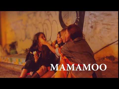 MAMAMOO WIND FLOWER BUMPER