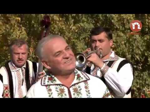 Constantin Rotaru - Iubitule plai
