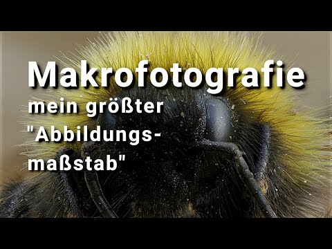 mein größter "Abbildungsmaßstab" mit verwendetem Equipment und Beispielen - Makrofotografie extrem