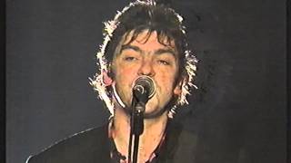 Robyn Hitchcock & The Egyptians T&C 1991 Pt 2