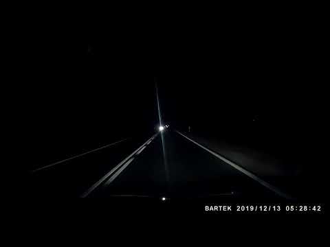 Jeleń na drodze dk 35 Świdnica-Wrocław