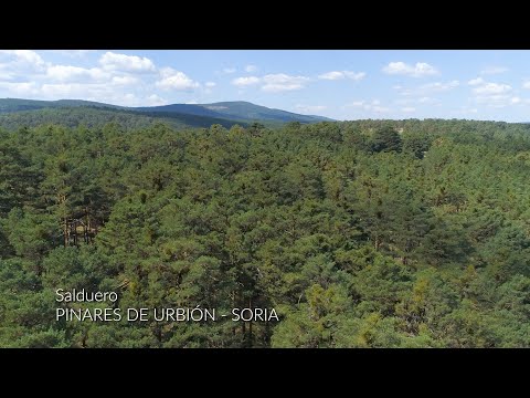 Salduero (El Monte) Pinares de Urbión - Soria