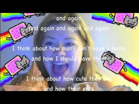 Can't hug every cat - with lyrics!