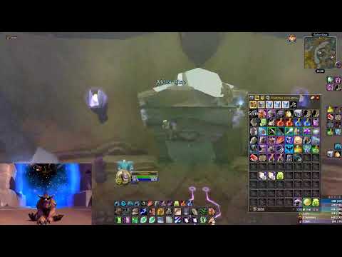 WoW TBC Classic Lady Vashj - Feral Druid