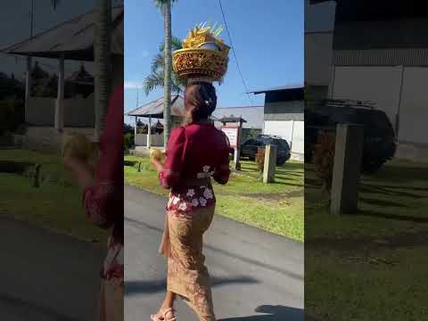 Kira-kira selesai ga tipatnya intan? #bali #balinesewoman #balineseculture