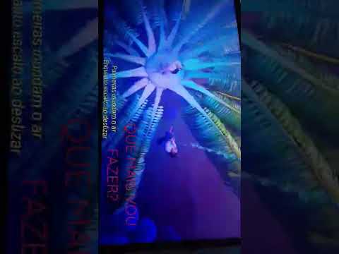 QUE MAIS VOU FAZER? - Mari Evangelista e Larissa Cardoso | ENCANTO