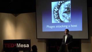 The virus that could save your life: Benjamin Lee at TEDxMesa
