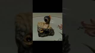 Download lagu CRAZIEST EXPERIMENT INJECTING HUMAN CELLS INTO ANIMAL EGGS ( JUST ASK LUCAS ) #shorts mp3