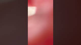 #桃色片想い　#ニューハーフ　#男の娘　#買い物　#休日