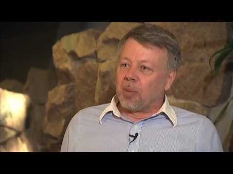 Energizing urban ecosystems