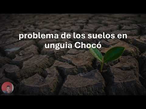 problema de los suelos en unguia Chocó pptx
