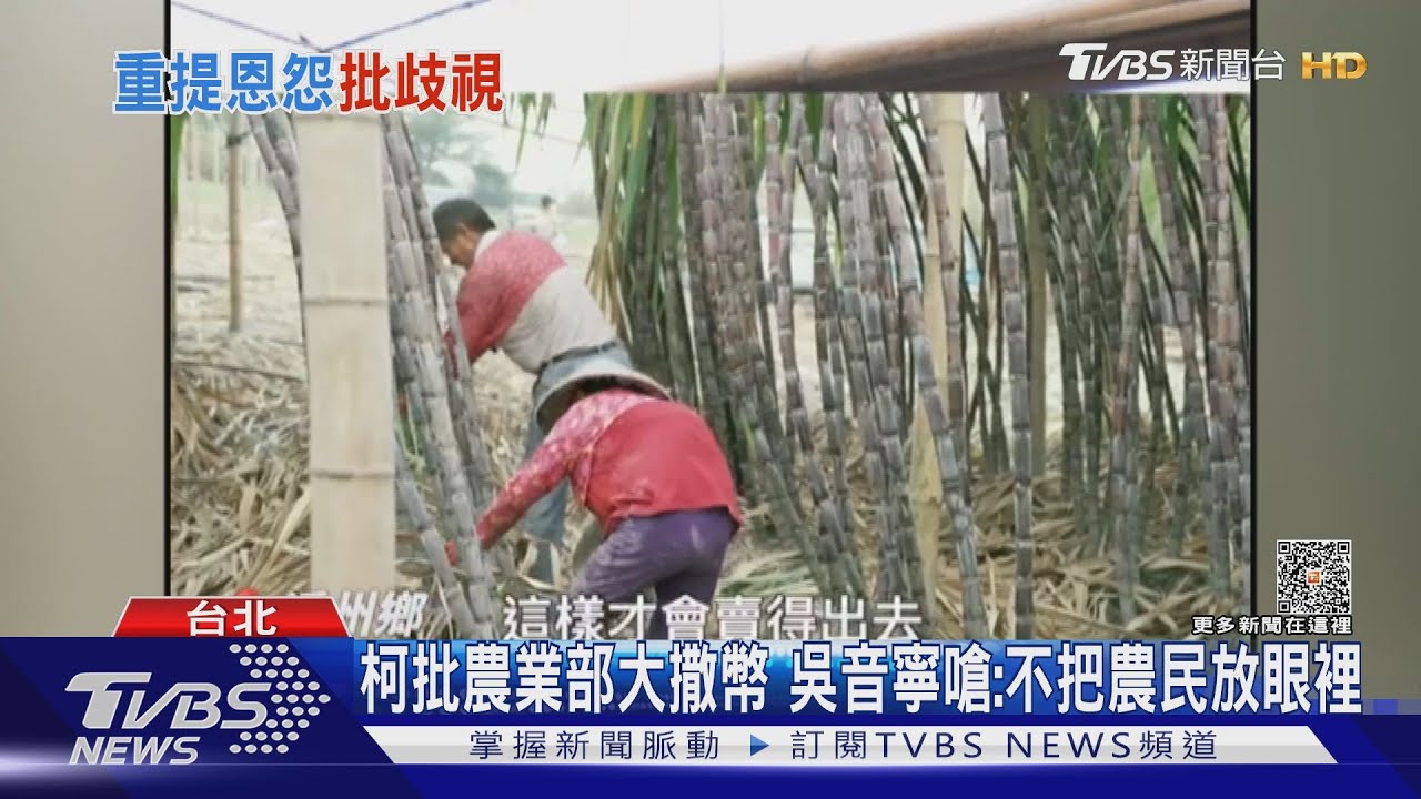 柯批農業部大撒幣 吳音寧嗆:不把農民放眼裡