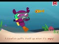 Endless Learning Academy Video Lessons 11 15