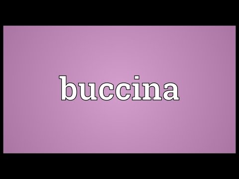 Buccina Meaning