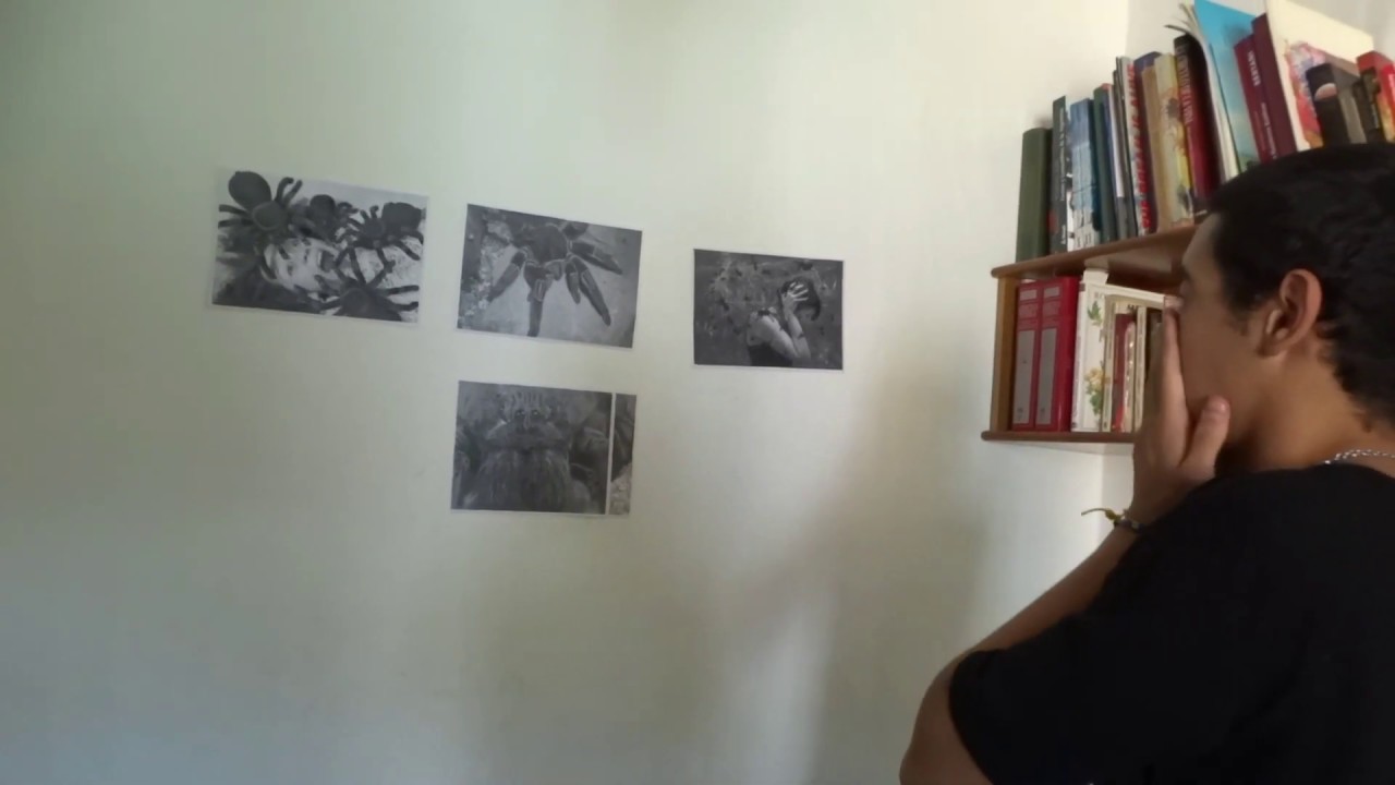 Obsesión Asesina/Trailer oficial