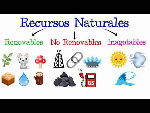 Acerca De La Leã±A Es Renovable O No Renovable Viral