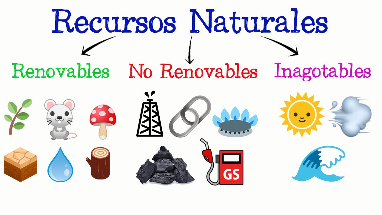 ??Recursos Naturales: Renovables, No Renovables e Inagotables?? [Fácil y Rápido] | Biología |