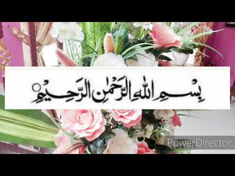 Surah Al Insyirah ( Rumi dan Terjemahannya)