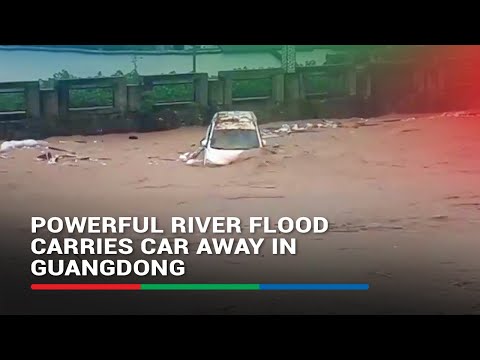 River flood carries car away in China