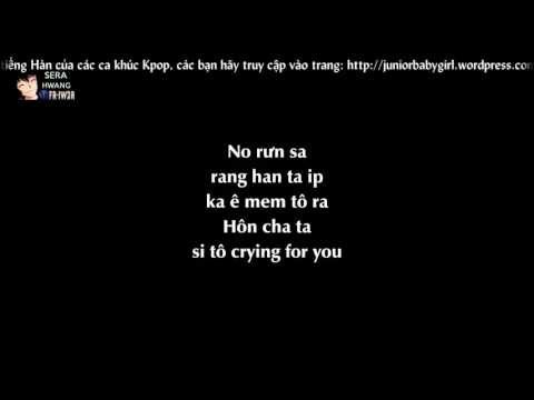 [Phiên âm tiếng Việt][Lyrics Video] Because I'm Stupid - SS501