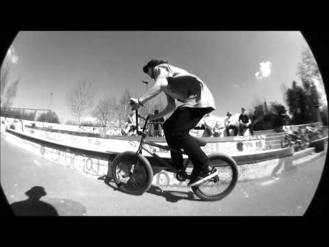 Emerson Morgan skatepark clips