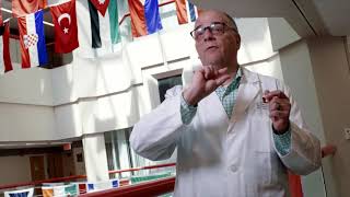 St. Jude Launches Childhood Solid Tumor Network Data Portal