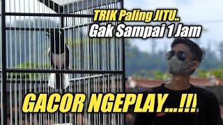 Download lagu TERNYATA SEMUDAH INI KACER AGAR GACOR DAN NGEPLAY‼️ mp3