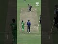 Brendon McCullums creative best at the #T20WorldCup 🏏 #CricketShorts #YTShorts - Video