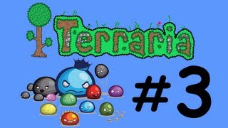 preview picture of video '#3 - TERRARIA - ANSOJA!'