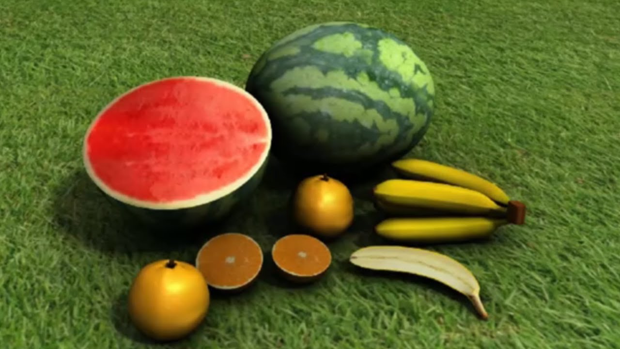 ICSE Class 9 Biology / Seeds Structure and Germination 1 - The Fruit and the Seed