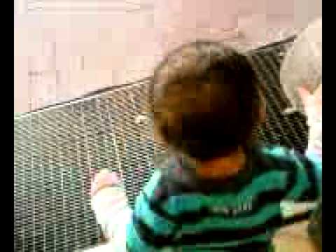 Jason Kai Mayer Mein Kleiner Sohn von Mayer Marianne