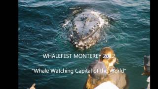 preview picture of video 'WHALEFEST MONTEREY 2012 Whale Watching Capital of the World  January 21, 2012'