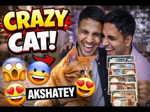 Crazy Cat Meets Trouble Twins 😂💸 | You Won’t Believe This!This Crazy Cat Changed Ever